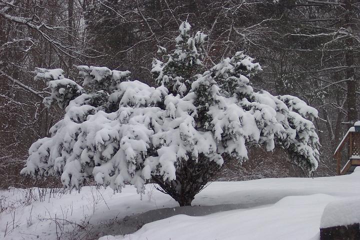 Snow 022.jpg